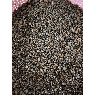 Sỏi suối nâu đen hạt tròn