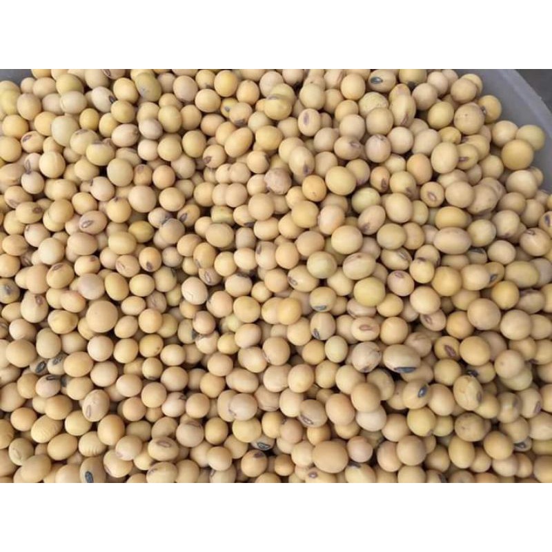 đậu nành,đậu tương làm sữa hạt