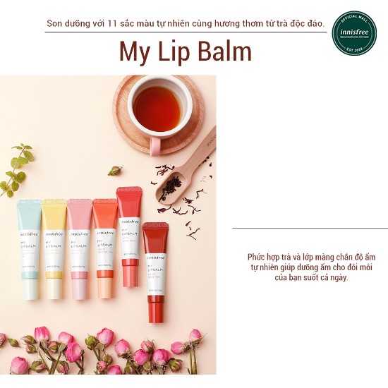 Son dưỡng môi innisfree My Lip Balm 15g | BigBuy360 - bigbuy360.vn