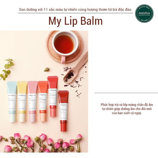 Son dưỡng môi innisfree My Lip Balm 15g