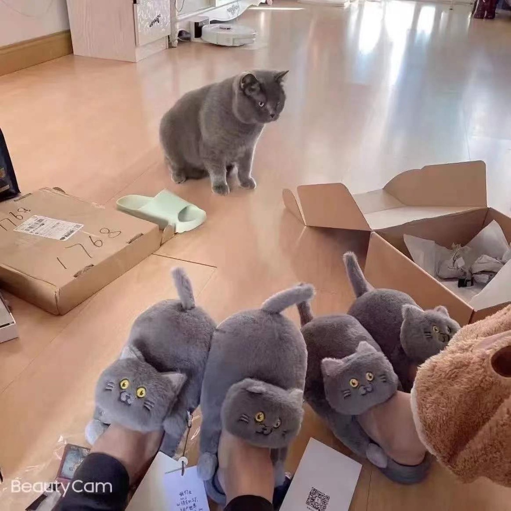 Dép hình mèo Dép bông đi trong nhà hình mèo dễ thương , Giày hình con mèo hàng có sẵn