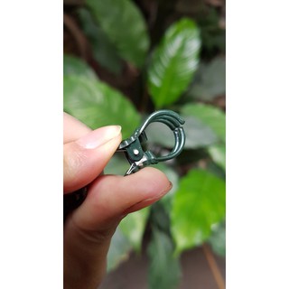 [Hàng chuẩn zin] 50 kẹp bướm xanh to 2 cm kẹp cành lan