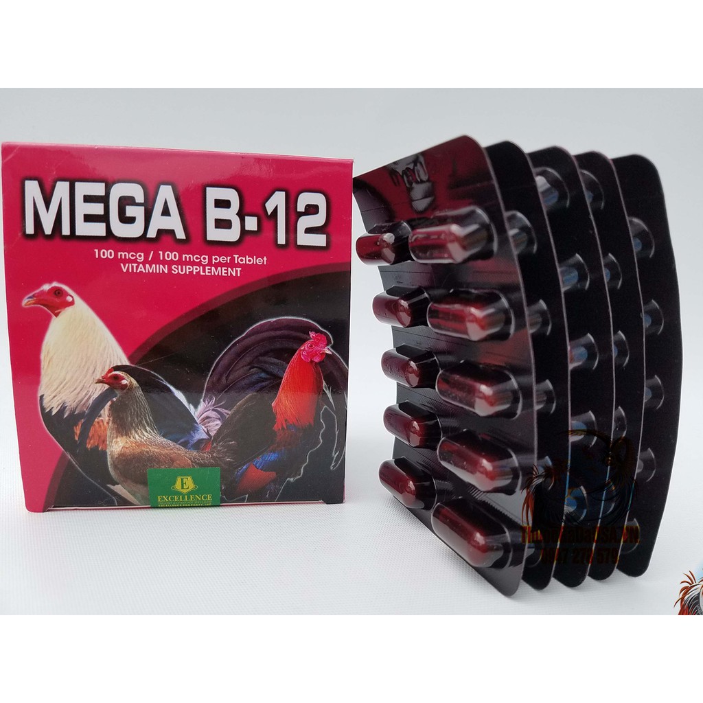 Mega B12 (5 Vỉ 50 Viên) Thuốc Nuôi Gà Chế Độ Đá ❌Tăng Bo Khung❌