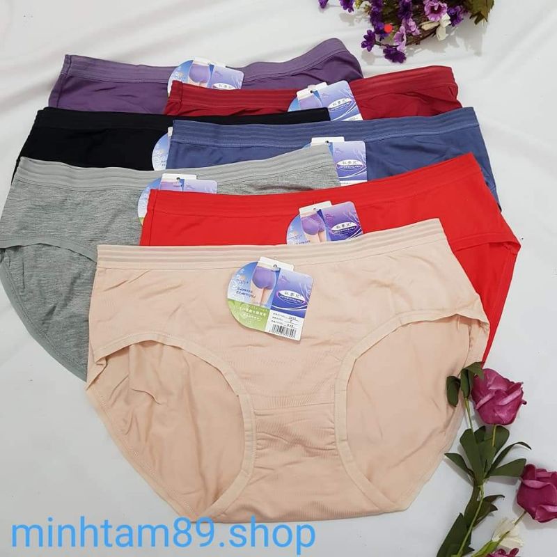 Quần lót cotton siêu mềm mát 2850 _2855