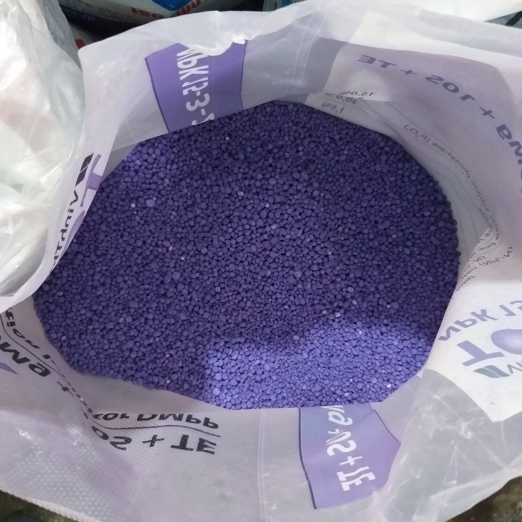 Phân NPK 15-3-20+TE (500g) Nhập Khẩu Đức, Phân Tím Đức dùng Kali trắng chuyên dưỡng hoa, nuôi trái