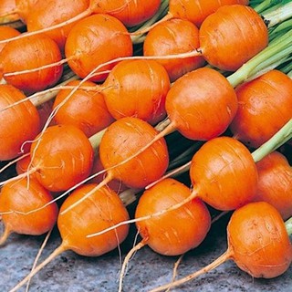 HẠT CÀ RỐT CỦ TRÒN PARIS - GÓI 1 GRAM