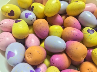 Máy ấp trứng mini - 50 trứng