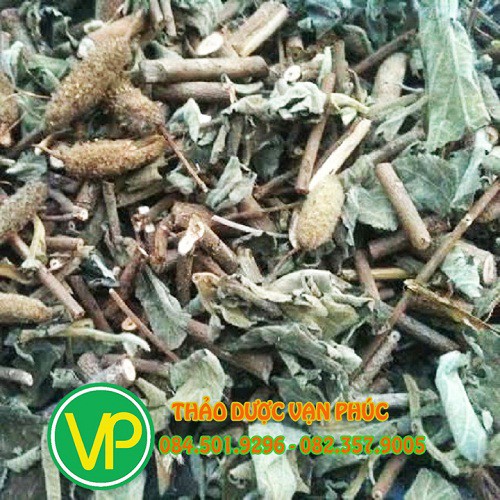 cây an xoa 1kg Bình phước | BigBuy360 - bigbuy360.vn
