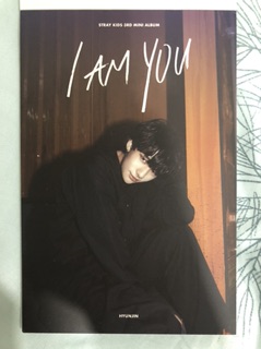 Postcard Straykids preorder
