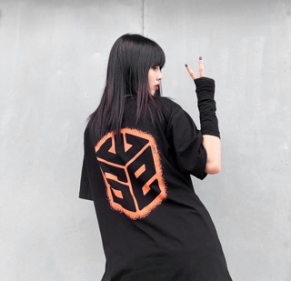 🔥Tee SWE big logo 🔥