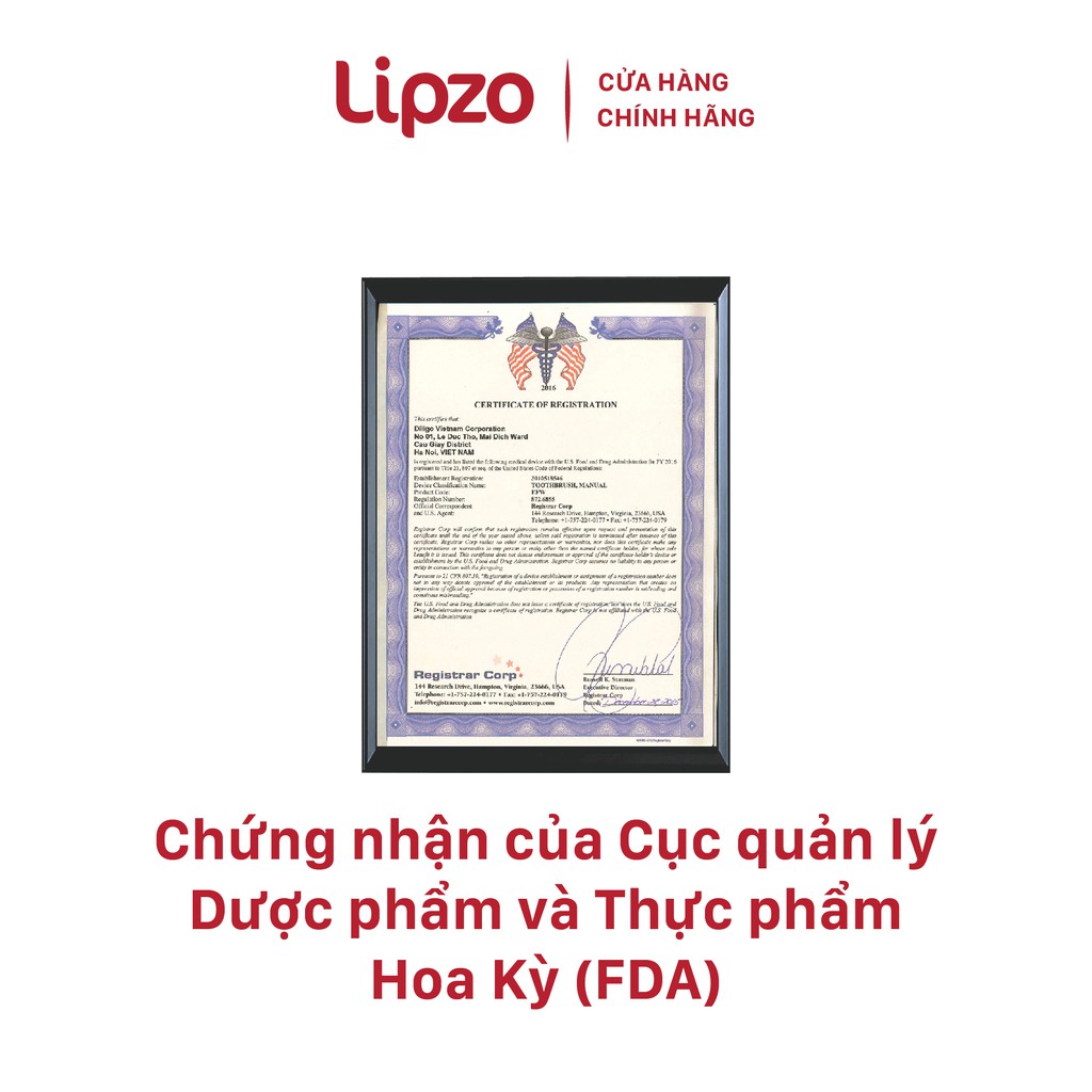 Combo 2 Bàn Chải Lipzo Wow Gold và 1 Kem Đánh Răng Lipzo Dược Liệu Gum Protect 95g Phù Hợp Mang Đi Du Lịch, Nghỉ Dưỡng