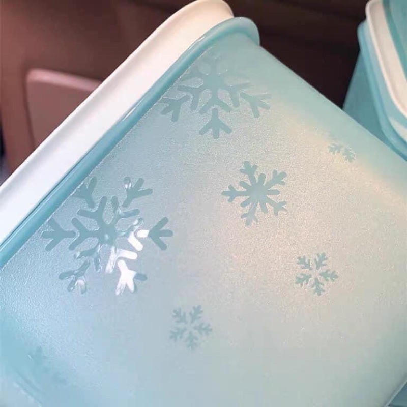 Hộp nhựa 1,1L đông dẻo gen 2 Tupperware - bảo quản thịt cá trái cây giúp thực phẩm tươi ngon hơn