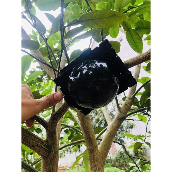 Bầu chiết cành cao cấp đủ kích thước, tăng khả năng ra rễ, chống úng cành chiết, tái sử dụng trên 5 năm