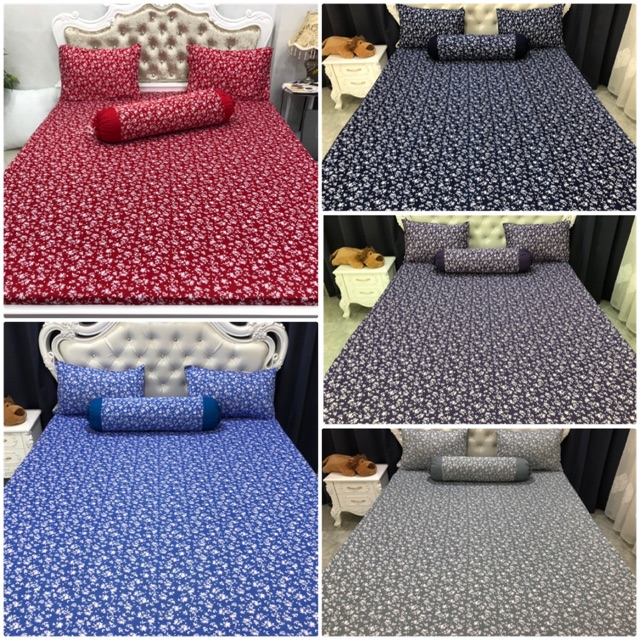 Bộ drap thun Hàn phối màu