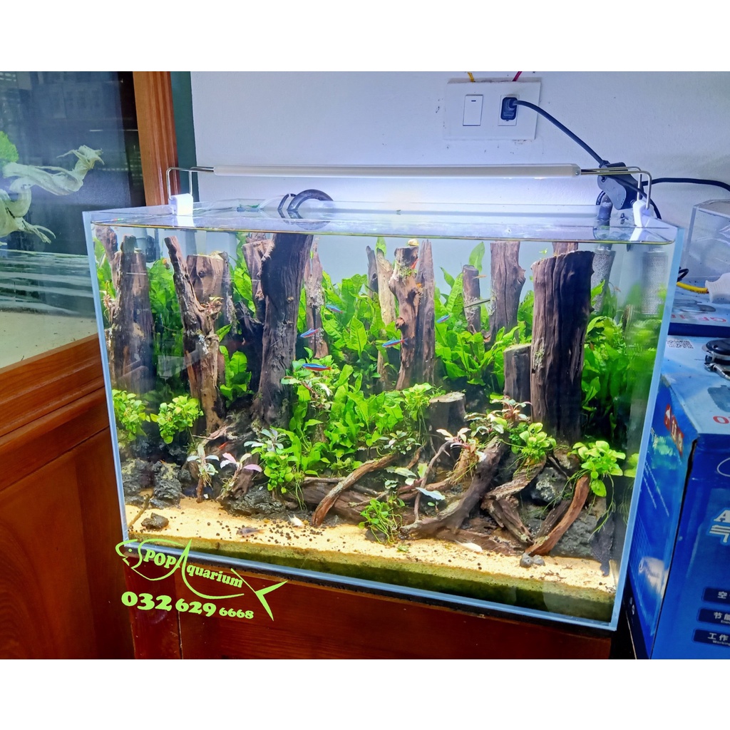 Đèn thuỷ sinh WRGB 6 hàng led