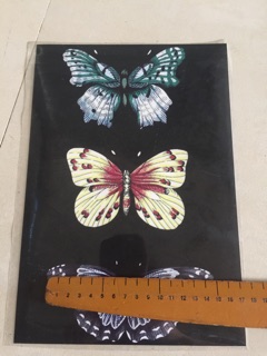 Hình dán nhiệt quần áo