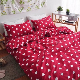 Bộ chăn ga gối cotton poly