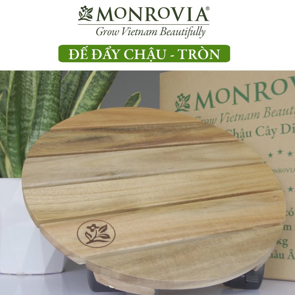 Đế lót chậu cây có bánh xe MONROVIA, đế để chậu cây, kệ giá đỡ chậu hoa cây cảnh, màu vàng R30 cm, tải 80kg, chính hãng