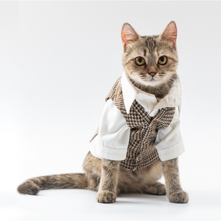 Set GILE sơ mi hàng hiệu cho thú cưng - SaboCoco - Sabo Gentleman