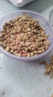 Lạc vỏ lụa