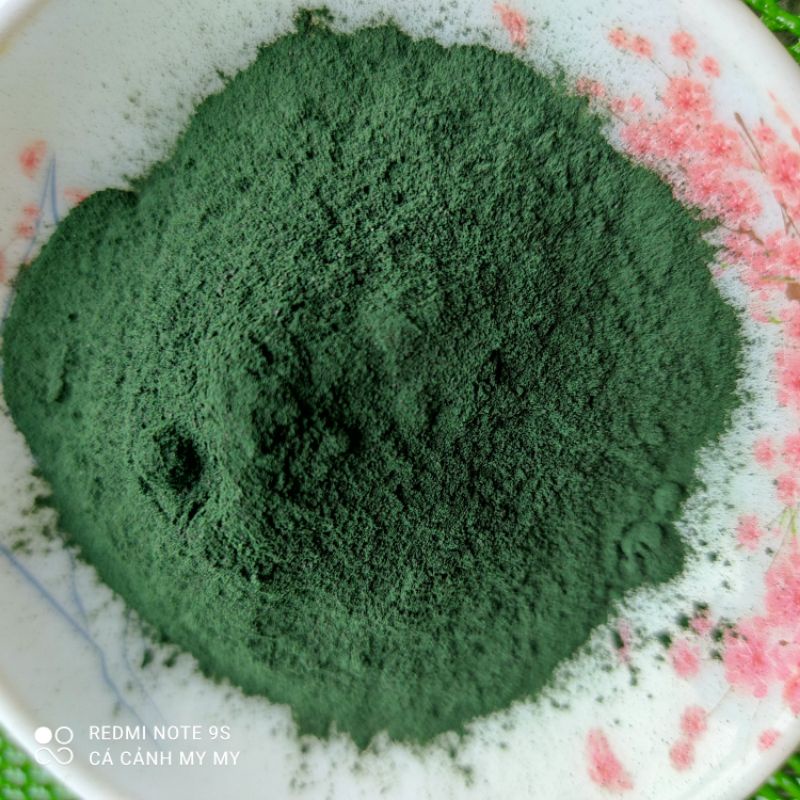 [Bán Lẻ] 100g Tảo bột nuôi artemia sinh khối hoặc bobo