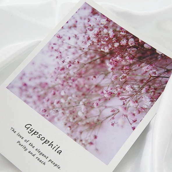 Ảnh bìa sách đẹp phụ kiện trang trí chụp ảnh sản phẩm xin xắn. postcard decor