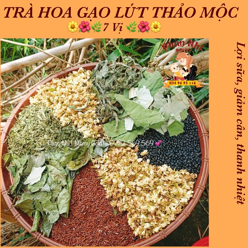 TRÀ HOA GẠO LỨT THẢO MỘC • MAMY GOLD