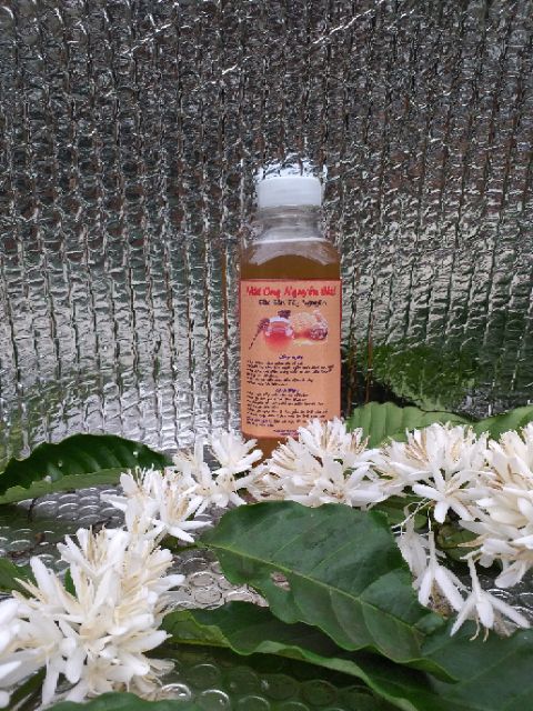 300ml MẬT ONG HOA CÀ PHÊ NGUYÊN CHẤT VÙNG ĐAKLAK. MẬT ONG HOA CÀ PHÊ 100% TỪ HOA CÀ PHÊ(Sản phẩm cam kết cho khách hàng) | BigBuy360 - bigbuy360.vn