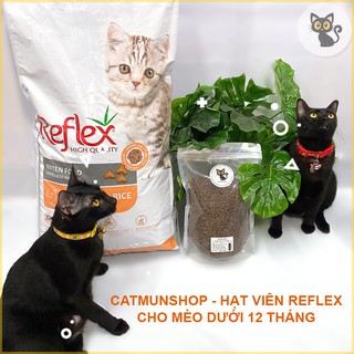 Hạt Reflex cho mèo con