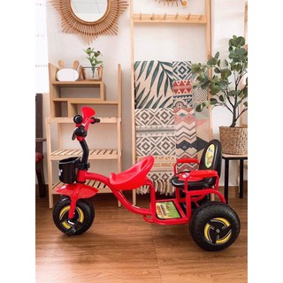 Xe đạp xích lô 2 chỗ ngồi