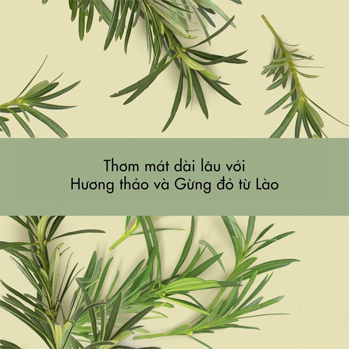 Kem Đánh Răng Love Beauty And Planet Hương Thảo & Gừng Đỏ Thơm Mát Sảng Khoái 75ml