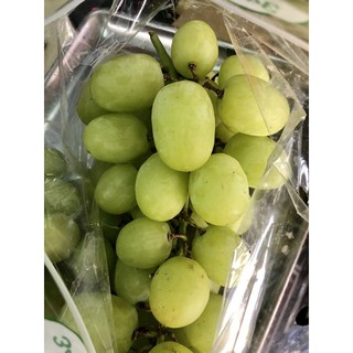 Nho xanh Peru 1 kg trái khủng long