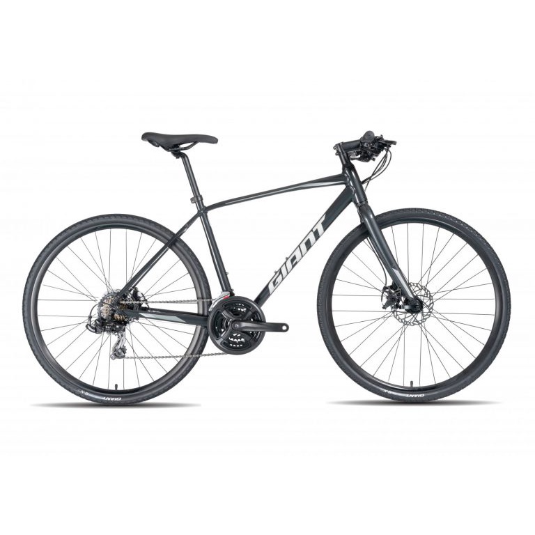 Xe đạp đường phố Giant Touring Escape 2 - 2020