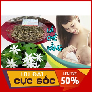 Lá chè vằng sẻ khô 1kg - Thảo Dược Thanh Bình