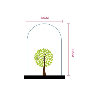 Bình thủy tinh terrarium tiểu cảnh 03