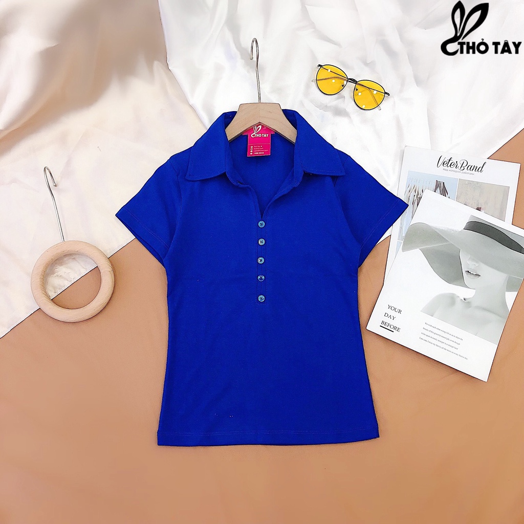 Áo thun nữ trơn cổ bẻ nhiều màu THỎ TÂY AT220C70 | BigBuy360 - bigbuy360.vn