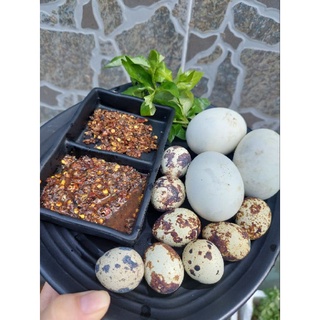 Chẩm chéo Tây Bắc chuẩn vị