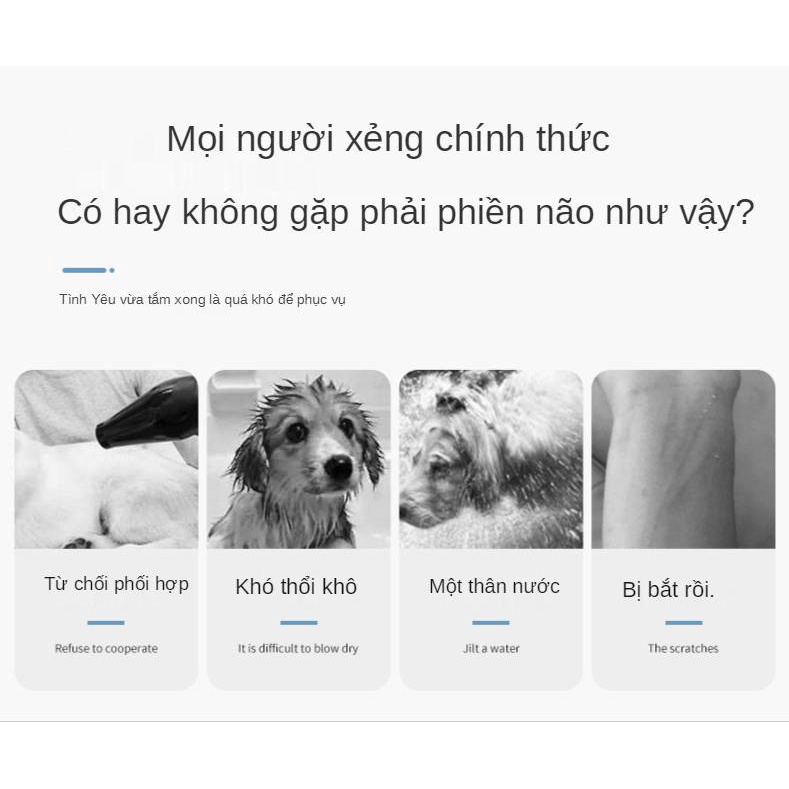 Máy sấy bánh cho thú cưng, Máy Sấy Tóc Gia dụng, Máy Sấy Tóc cho chó mèo