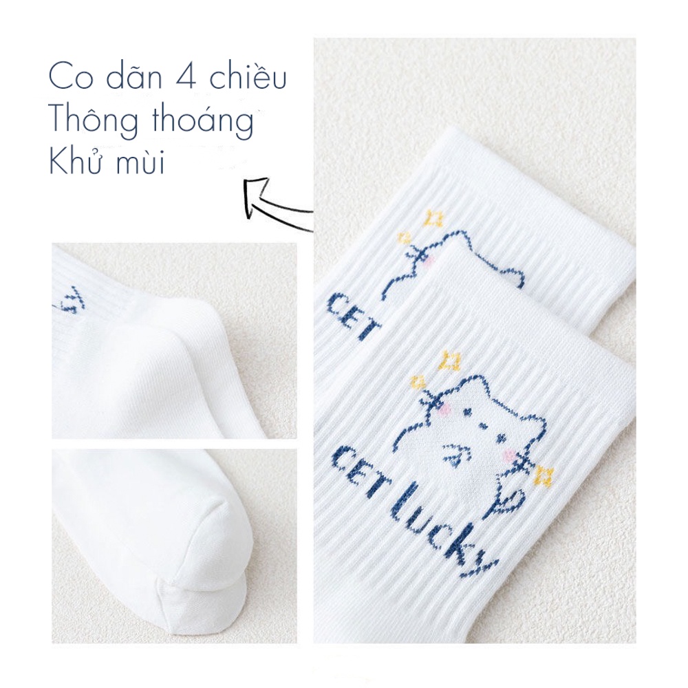 Tất vớ nữ cổ cao chất liệu cotton co giãn bốn chiều, set tất vớ nữ họa tiết xinh - Sope Shop