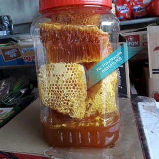 Mật ong rừng Đăk Lăk