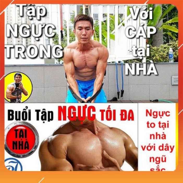 Bộ 5 Dây tập Gym ngũ sắc ,tập gym tập thể hình móc kim loại | (LH3)