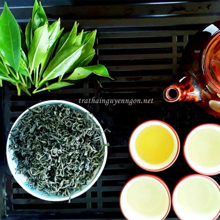 CÂY GIỐNG CHÈ XANH THÁI NGUYÊN cao gần 1m như hình.