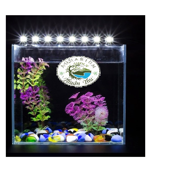 Đèn led chìm Caibao cho bể cá nhiều màu/size màu vàng/trắng/trắng xanh/hồng/xanh dương/3 màu RGB từ 30 đến 60cm