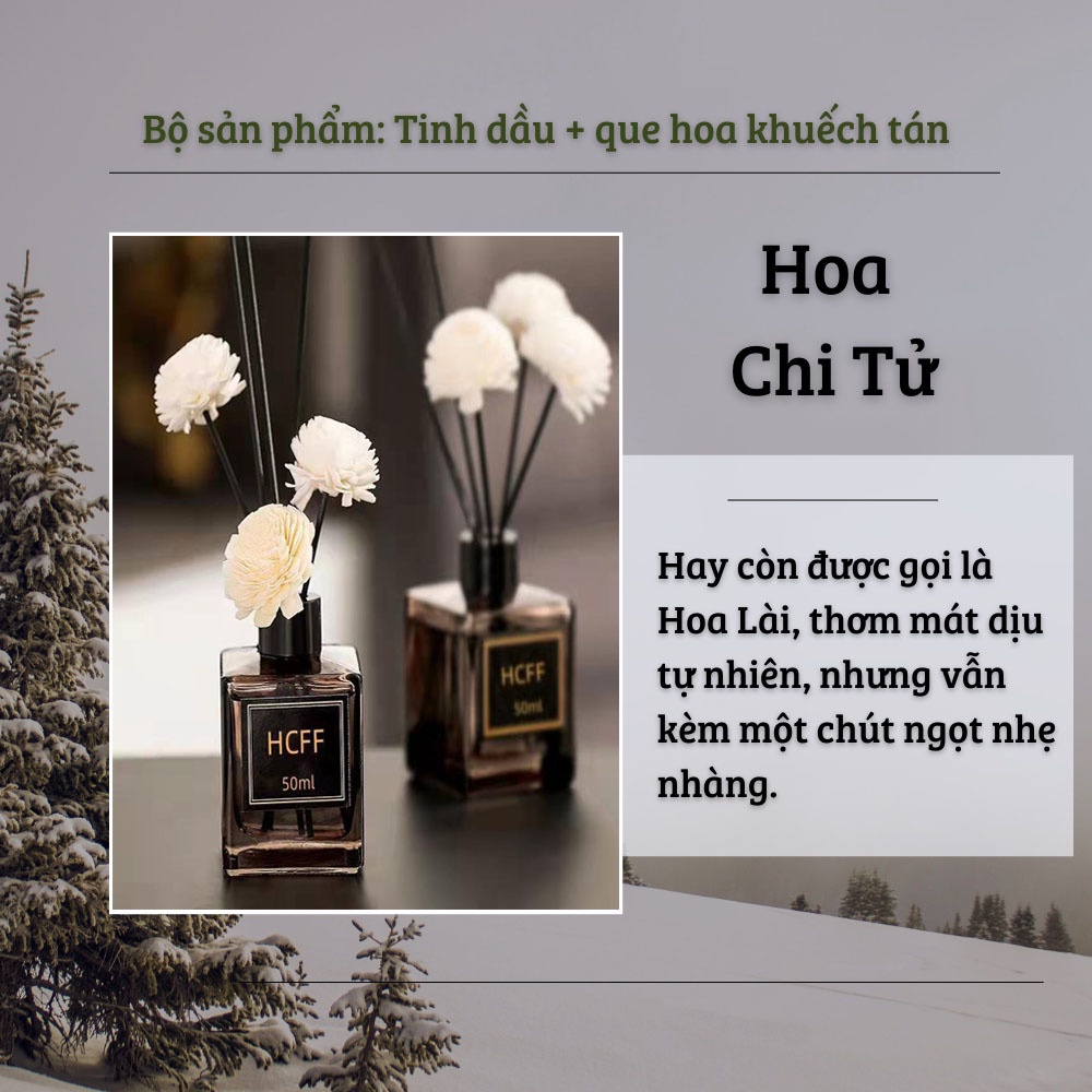 Tinh Dầu Thơm Thiên Nhiên LongFine 50ml để phòng, khử mùi không khí, ẩm mốc T21