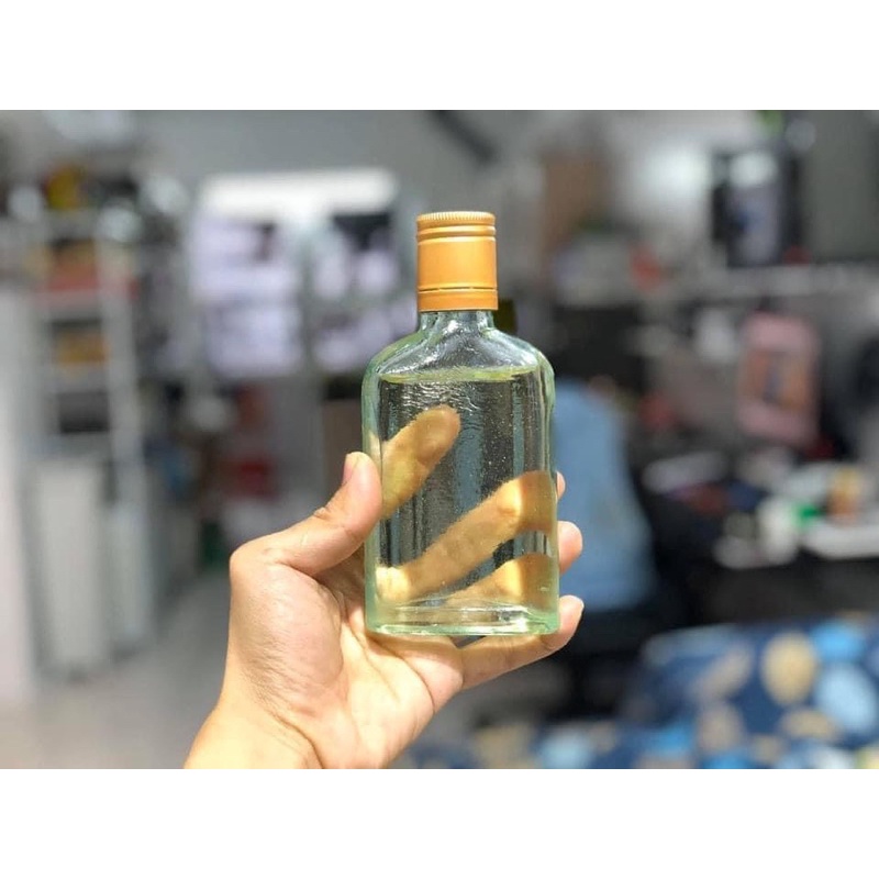 (ĂVNĐ) tinh dầu Tràm Huế cam kết không pha tạp
