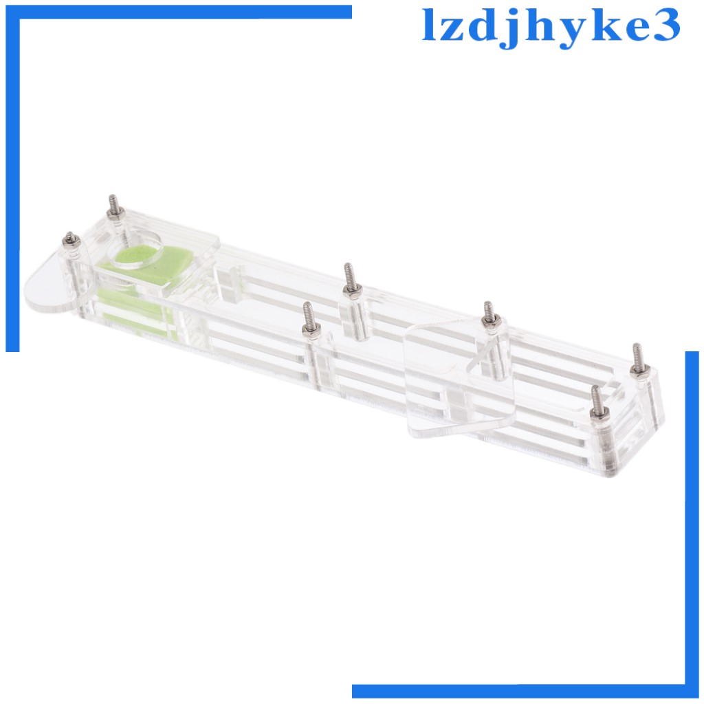 [lzdjhyke3] Hộp Nuôi Kiến Nhỏ Bằng Acrylic Trong Suốt Cho Nông Trại