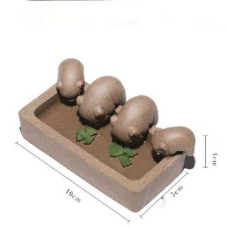 Dàn lợn con Đàn heo con ăn trong máng gốm tử sa