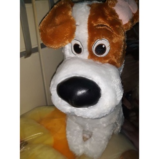 Chú chó Max