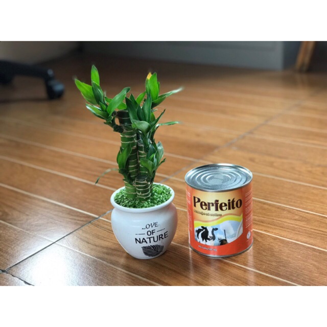 SỮA ĐẶC CÓ ĐƯỜNG PERFEITO 1kg- Malayxia