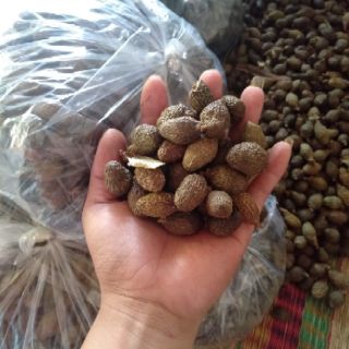 Hạt ươi bay 500g
